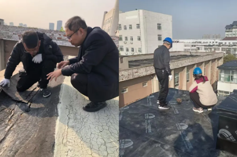 /ueditor/image/20251112/1762932351133466/image.png image.png